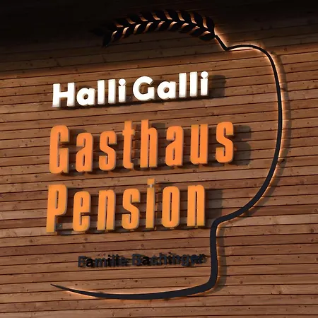 Und Halli-galli 3* 파사우